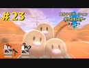 頼れるのは過去の俺！？　自分ナビゲーションポケモン part23　【ポケモンソード】