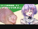 ひとくち動物図鑑　#３　ハダカデバネズミ　[VOICEROID解説]