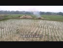中国が食糧を大量に輸入・豊作のはずなのに何故