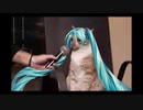 El muchacho de los ojos tristes[Hatsune Miku]