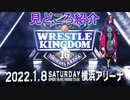 【見どころ紹介！！】1月8日開催 WRESTLE KINGDOM 16【グレート・N・弘武】