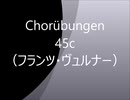 コールユーブンゲン45c（Sinsy）
