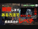 【ダークソウル3 縛りプレイ】瞬殺する裏技が・・・#15