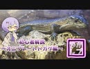 【ゆかレプ】オニプレートトカゲについて【結月ゆかり】