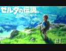 クソださ七分丈腰ポーチ、目覚める。【ゼルダの伝説 ブレス オブ ザ ワイルド①】