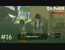 その家ください【ゼルダの伝説 ブレスオブザワイルド マスターモード】#16
