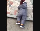 ホモと見る　転ばぬ先の杖