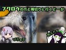 （ボイスロイド実況）フクロウの爪と嘴のメンテナンスに行くどーが
