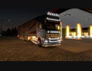 【ETS2】【低画質】ノポガルト→オストロマゾウィッカ　579km 丸太(22t)