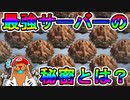 【検証】最強のサーバーを見学しに行ったらとんでもないことを発見しました【ザアンツ #15】