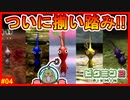 ついに5色ピクミン勢ぞろい!!　力を合わせてお宝探し本格始動?【ピクミン2 #04】