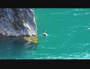 飛水峡にオオバン