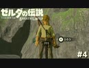 冬の水は冷たい【ゼルダの伝説 ブレス オブ ザ ワイルド④】