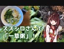 【思い切って野草を食べてみよう】#50 スズシロで「一草粥」！