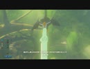 【解説】ゼルダの伝説BotW マスターソード不正入手RTA 19:52