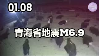 青海省地震M6.9