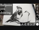 鳥 - その12 - 【ボールペン画メイキング】- Ballpoint pen drawing -