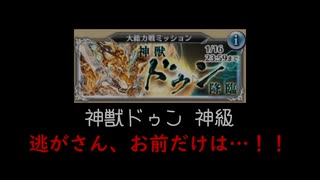 【千年戦争アイギス】ドゥン神級「逃がさん、お前だけは…！」