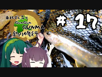 東北ずん子とgungunGUNMA釣り修行#17「ルアーとテンカラ二刀流」
