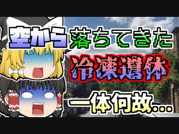 【2019年】突然空から降ってきた『冷凍男』その正体は...【ゆっくり解説】