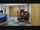 ステレオポニー/はんぶんこ を弾いてみた。