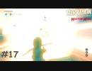 爆発物取扱注意【ゼルダの伝説 ブレスオブザワイルド マスターモード】#17