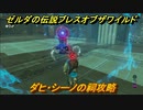 ゼルダの伝説 ブレスオブザワイルド　祠攻略　ダヒ・シーノの祠　＃６５【ゼルダbotw】