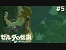 クライミングモンスター【ゼルダの伝説 ブレス オブ ザ ワイルド⑤】