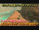 ゼルダの伝説 ブレスオブザワイルド　ほこらチャレンジ攻略　ゴロンのド根性ガケ　グ・アチトーの祠に入るには？　＃７２【ゼルダbotw】