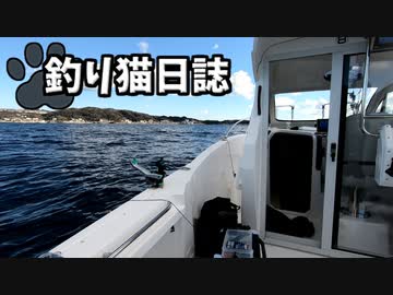 令和釣り猫日誌[Part1]ルアーで大物目指して [会員限定]