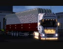 【ETS2】【低画質】オストロマゾウィッカ→コシャリン　482km ジャガイモ(22t)