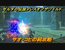 ゼルダの伝説 ブレスオブザワイルド　祠攻略　サオ・コヒの祠　＃７５【ゼルダbotw】