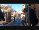 【４K 19年ぶりの寒さ】追浜商店街【Oppama Shopping Street】。2022年1月7日