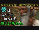 【ファイナルファンタジーXII】ラバナスタとギーザ平原【お奉行】第3話