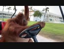世界の衝撃的映像集Part29