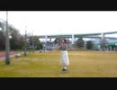 【すだち】ハートビート・フロムユー【踊ってみた】