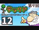 第9回『テラリア』記憶を無くしたつもりでニューゲーム　再録12