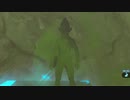 【ブレワイ(BotW)】依頼を受けて、泉にある石の扉を壁抜けしてリアルになってみた【ドリカラ】