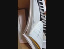 【弾いてみた】ニャースのうた