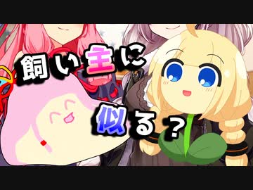 飼い主に似る？【VOICEROID劇場】