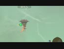 【ブレワイ(BotW)】依頼を受けて、鳥人間中に台座に着地して祠を出現させてみた【ドリカラ】