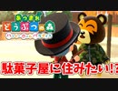 【あつまれ どうぶつの森 ハッピーホームパラダイス実況】別荘？？OK！任せて！part53