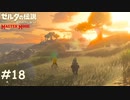 さらばどさんこくん【ゼルダの伝説 ブレスオブザワイルド マスターモード】#18