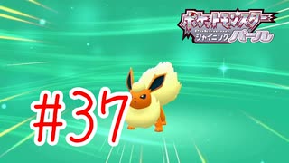 【実況】最高にかっこよくて可愛い【ポケモンSP】#37