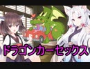 性癖解説～ドラゴンカーセックス～