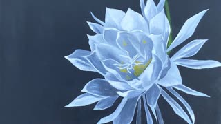 オリジナル曲「A Queen of the Night」