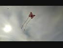 めぐたんの凧上げ feat.お母さん