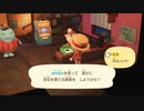 【あつまれ どうぶつの森】どうぶつ達の別荘大計画　その３０