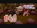 【実況】壁や天井に爪を食いこませてはい回るポケモン【ポケモンSP】#40