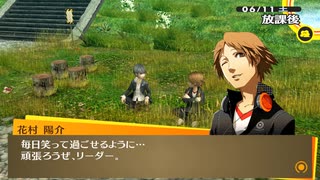 #23【P4G】青春の風、頼れる相棒【実況プレイ】